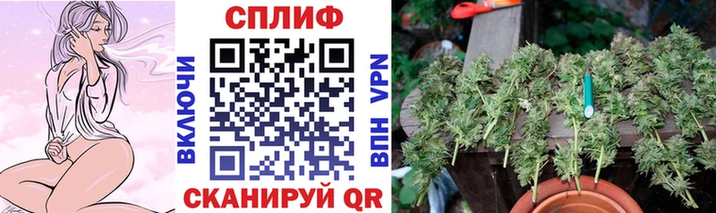 Купить  Калуга  Конопля VHQ 